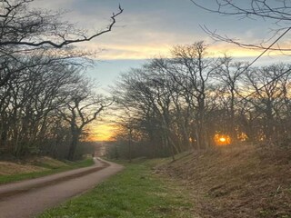 Casa de vacaciones Biches Entorno 22