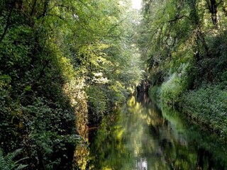 Maison de vacances Biches Environnement 37
