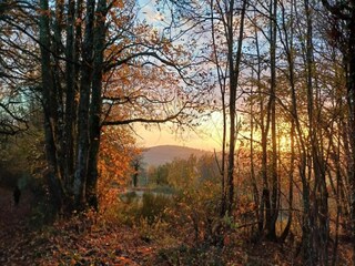 Holiday house Biches Environment 35