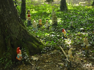 Cottage Saint-Hilaire-Fontaine Outdoor Recording 19