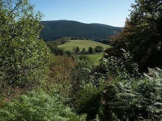 Ferienhaus Chiddes Außenaufnahme 8