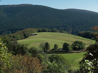 Ferienhaus Chiddes Umgebung 24