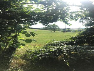 Vakantiehuis Onlay Omgeving 31