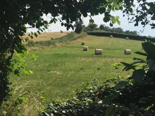 Vakantiehuis Onlay Omgeving 32