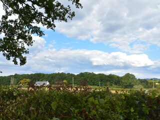 Ferienhaus Onlay Außenaufnahme 12
