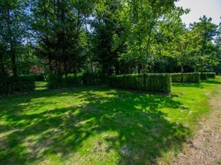 Vakantiehuis Onlay Omgeving 33