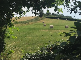 Vakantiehuis Onlay Omgeving 35