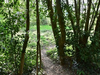 Vakantiehuis Onlay Omgeving 16
