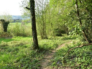 Vakantiehuis Onlay Omgeving 17