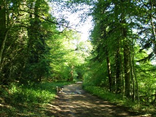 Vakantiehuis Onlay Omgeving 21