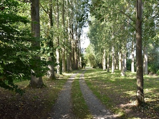 Maison de vacances Autingues Enregistrement extérieur 5