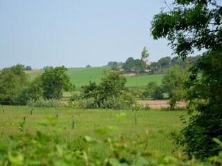 Holiday cottage Hardinghen Outdoor Recording 15