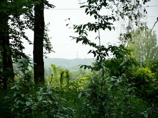 Holiday cottage Hardinghen Outdoor Recording 8
