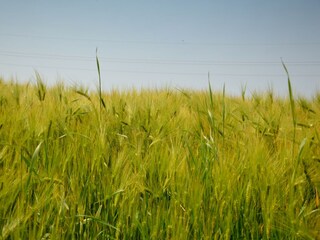 Vakantiehuisje Hardinghen Omgeving 36
