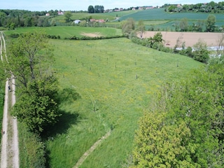 Holiday cottage Hardinghen Environment 31