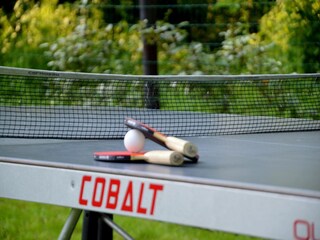 Vakantiehuis Hardinghen  40