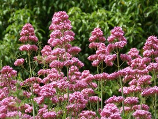 Apartamento Olloix Grabación al aire libre 5