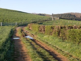 Appartamento Olloix Ambiente 35