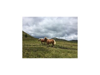 Maison de vacances Haget Environnement 30