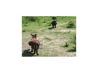 Villa Fosse Omgeving 26