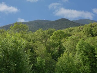 Villa Fosse Buitenaudio-opname 6