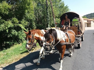 Villa Fosse Environment 27