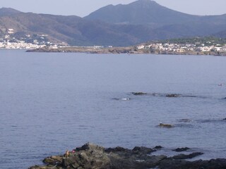 Villa Fosse Environnement 39