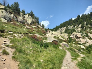 Ferienhaus Bolquère Umgebung 31