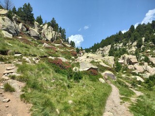 Maison de vacances Bolquère Environnement 32