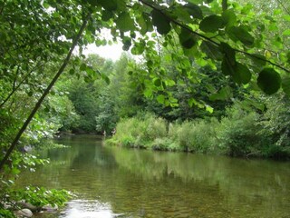 Ferienhaus Bolquère Umgebung 29