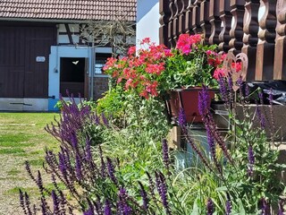 Ferienhaus Salmbach Außenaufnahme 8