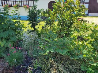 Casa de vacaciones Salmbach Grabación al aire libre 4