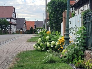 Maison de vacances Salmbach Environnement 33