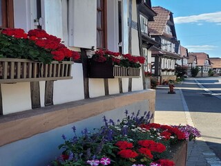 Maison de vacances Salmbach  31