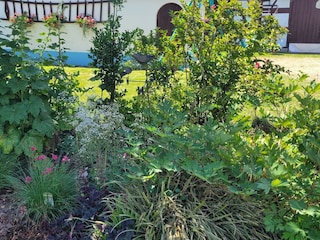 Ferienhaus Salmbach Außenaufnahme 13