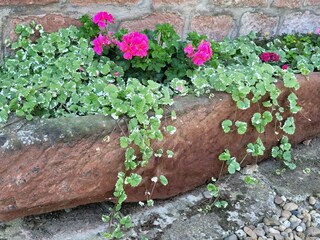 Maison de vacances Salmbach Enregistrement extérieur 6