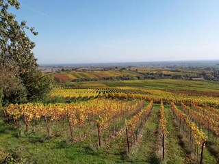 Ferienhaus Salmbach Umgebung 32