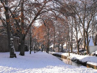 Vakantiehuis Salmbach Omgeving 39