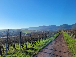 Vakantiehuis Salmbach Omgeving 30
