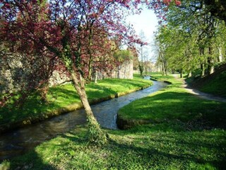 Vakantiehuis Salmbach Omgeving 32