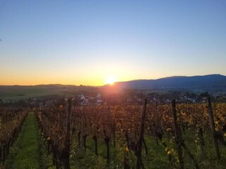 Vakantiehuis Salmbach Omgeving 29