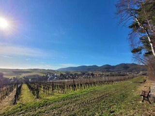 Vakantiehuis Salmbach Omgeving 36