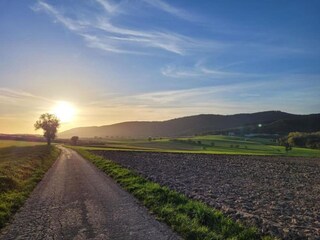Vakantiehuis Salmbach Omgeving 37