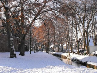 Maison de vacances Salmbach Environnement 39