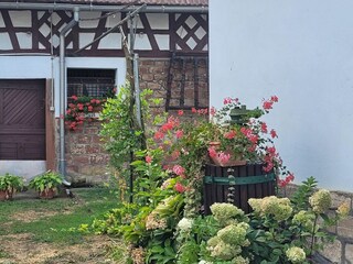 Casa de vacaciones Salmbach Grabación al aire libre 11