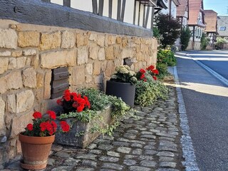 Casa de vacaciones Salmbach Entorno 35