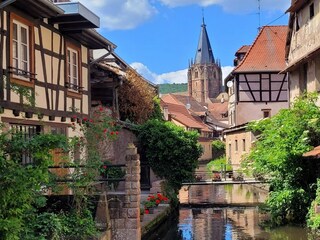 Casa de vacaciones Salmbach Entorno 36