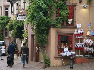 Appartement Riquewihr Omgeving 34