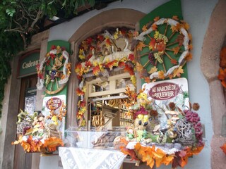 Apartamento Riquewihr Entorno 32