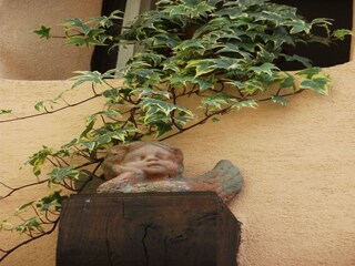 Apartamento Riquewihr Entorno 34